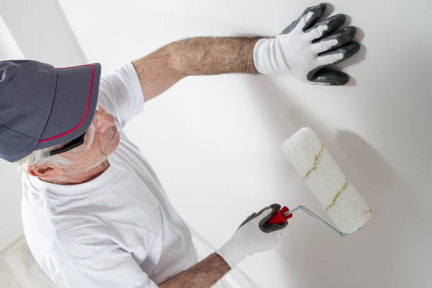 Best Real Estate Mold Inspection  in Akron, OH
