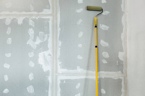Akron, OH Mold Removal Company
