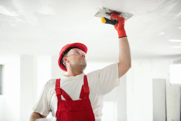 Best Forensic Mold Investigation  in Akron, OH